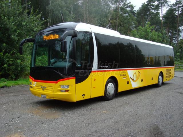 Coach Lion's Regio