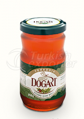 Yerkesik Region Pine Honey 850 gr