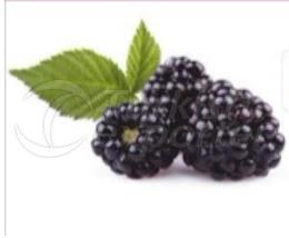 Blackberry