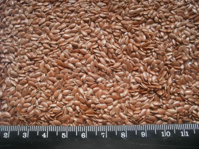 Ukraine Origin Flax Seeds
