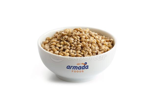 Organic Wheat