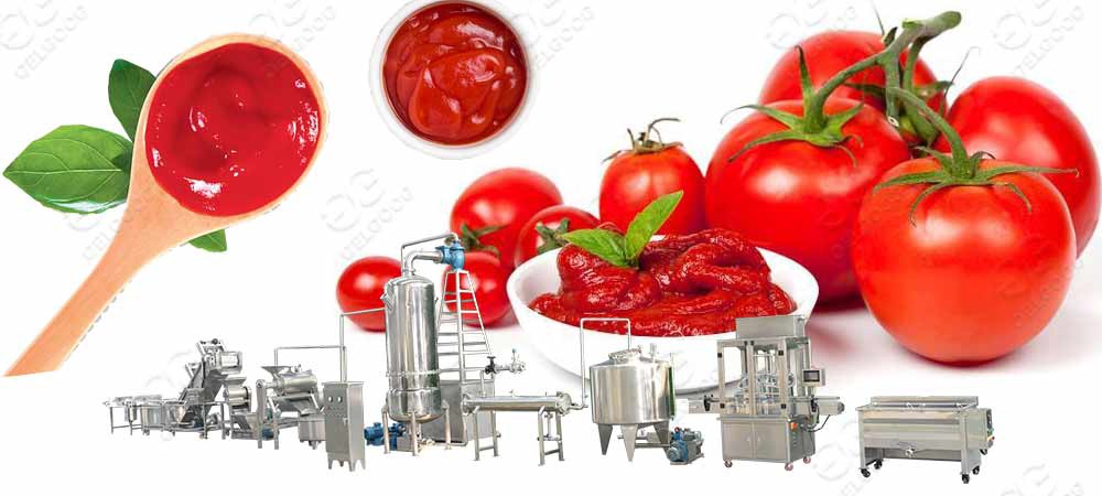 tomato paste production line 