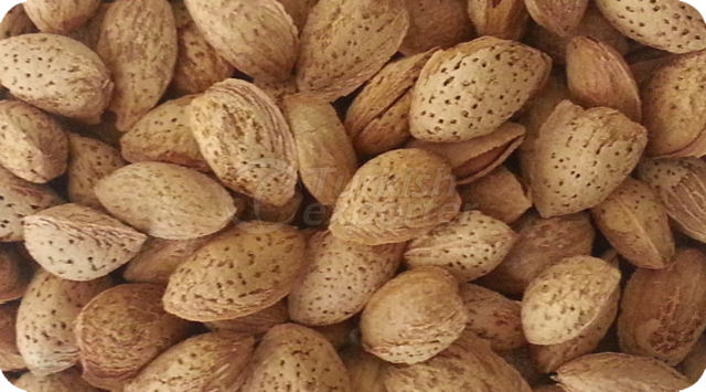 Almonds In Shell