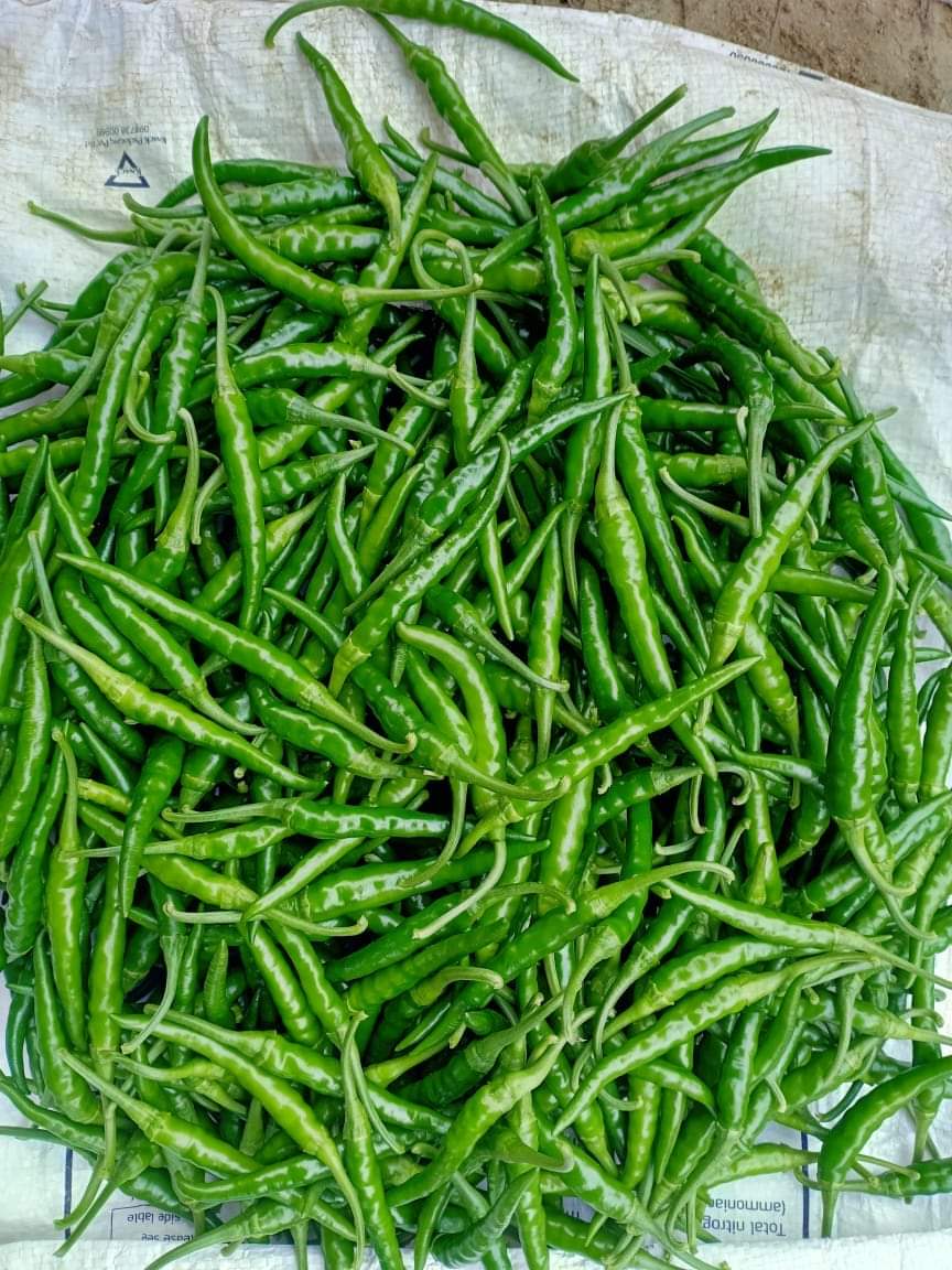 Green chillies