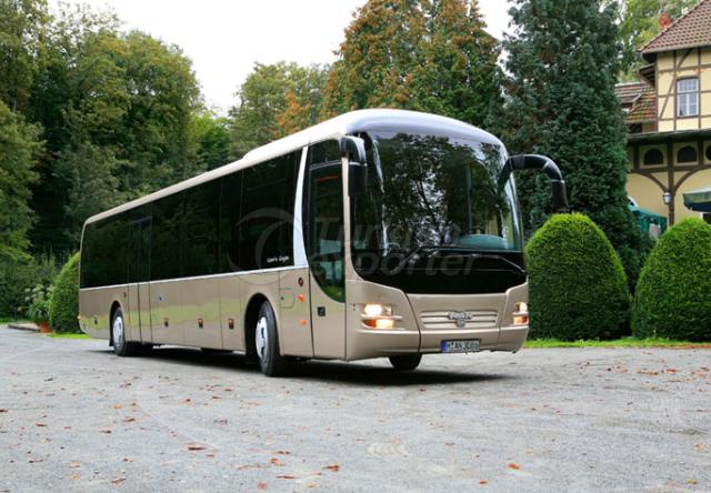 Coach Lion's Regio
