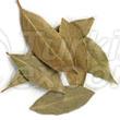 Dried Bay Leaves