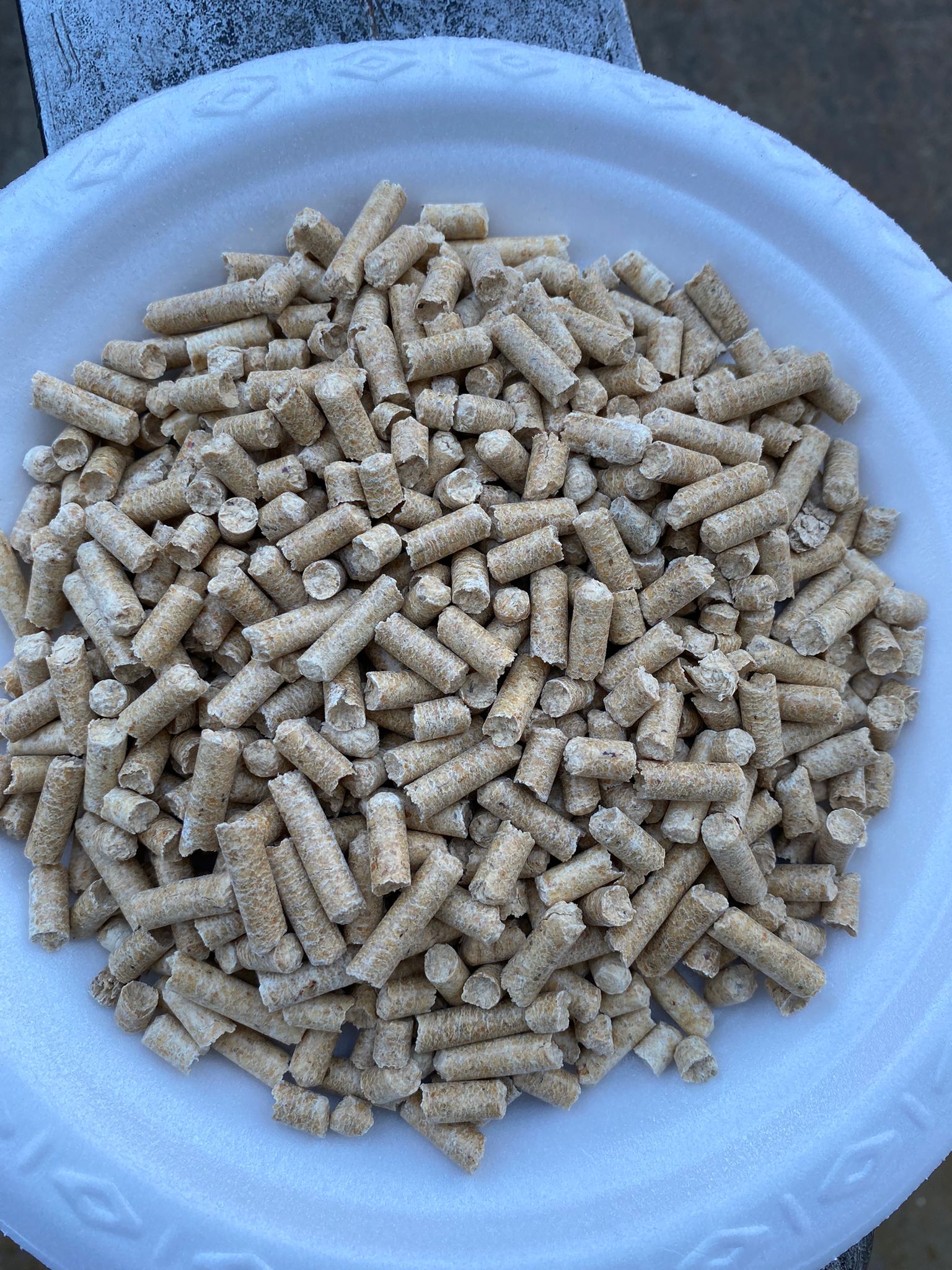 Wood Pellet