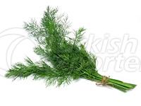 Dill