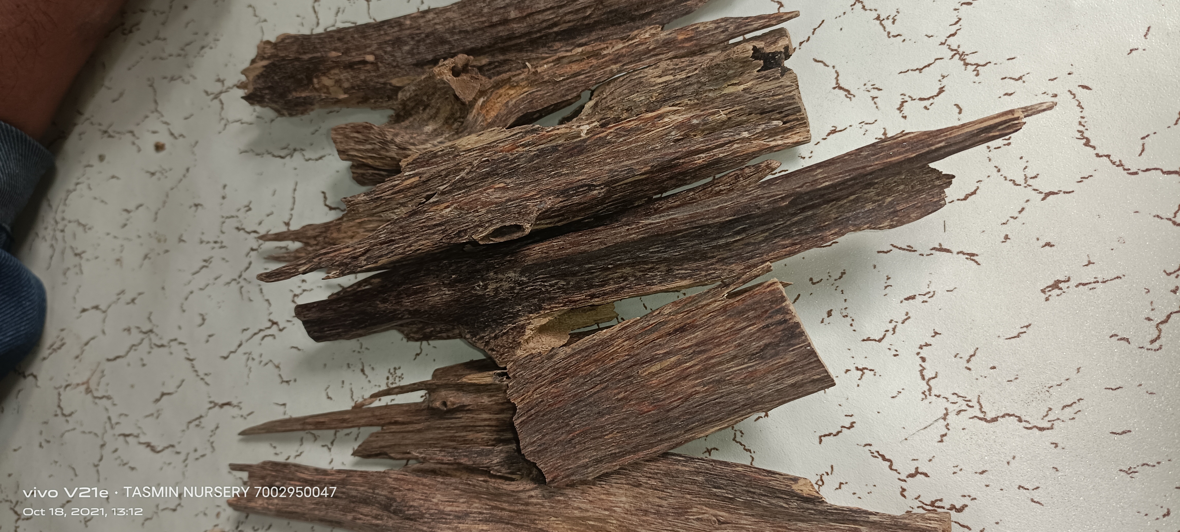 Agarwood 