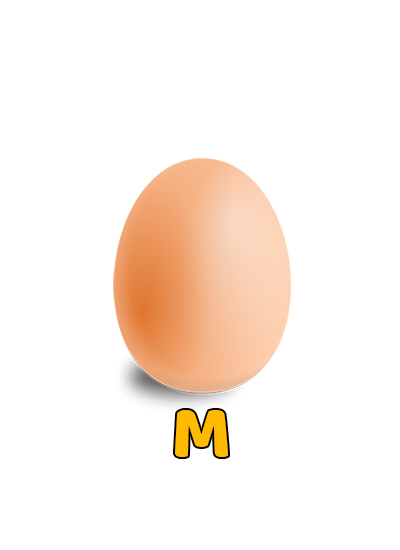 M Size Egg