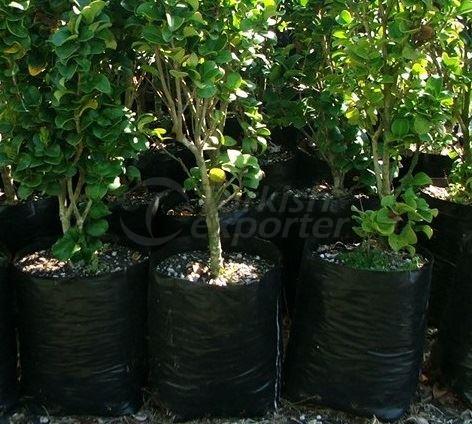 Seedling and Fertilizer Bags