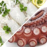 Pulpo - Jibias