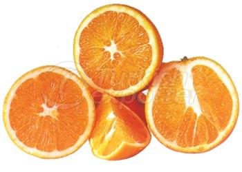 Navel Orange