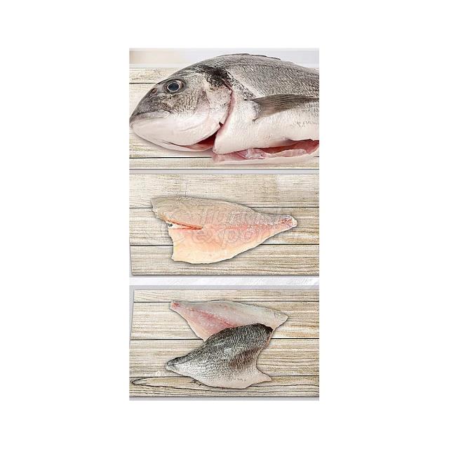 Sea Bream