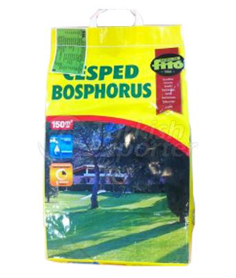 Bosphorus  7 Mix Grass Seeds