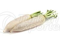 White Radish