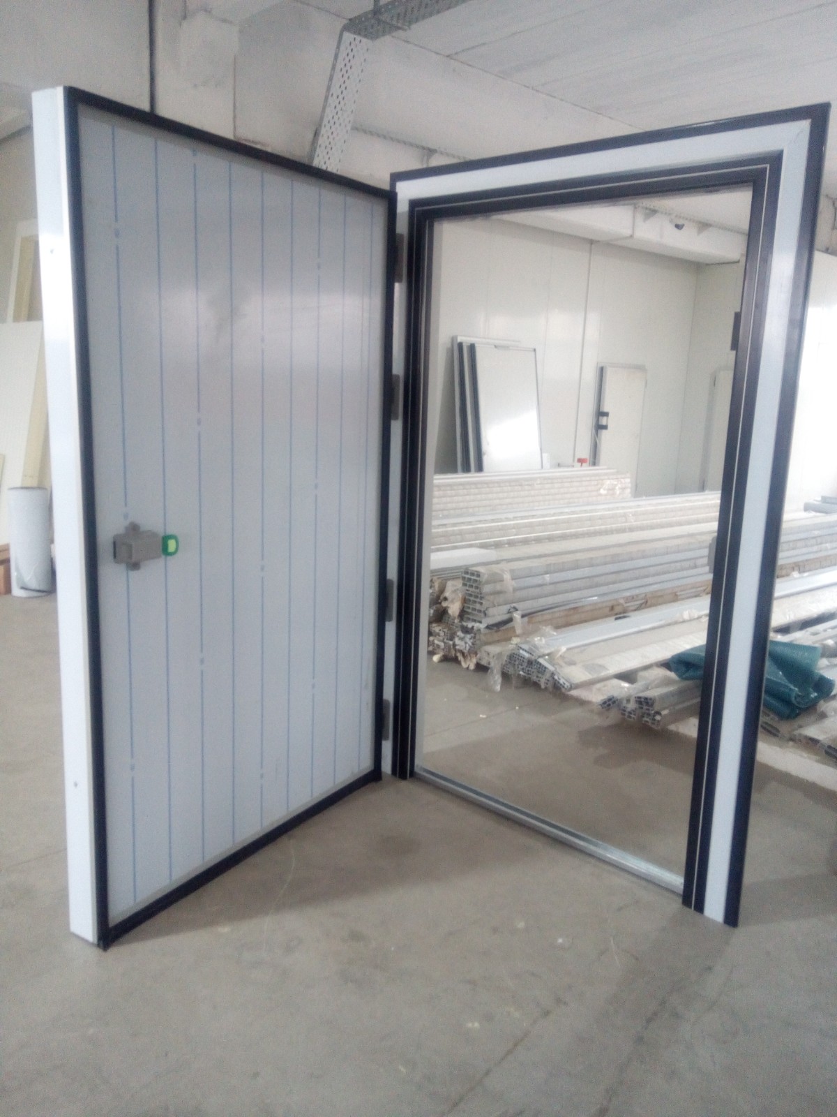 Cold Room Doors