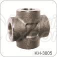 Threaded Pipe Fittings
