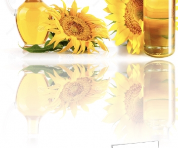 Sunflower Oil