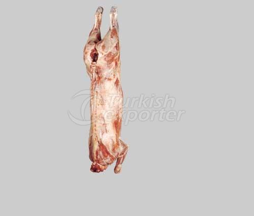 Carcass
