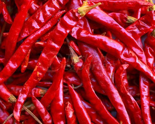 Dried red chilli