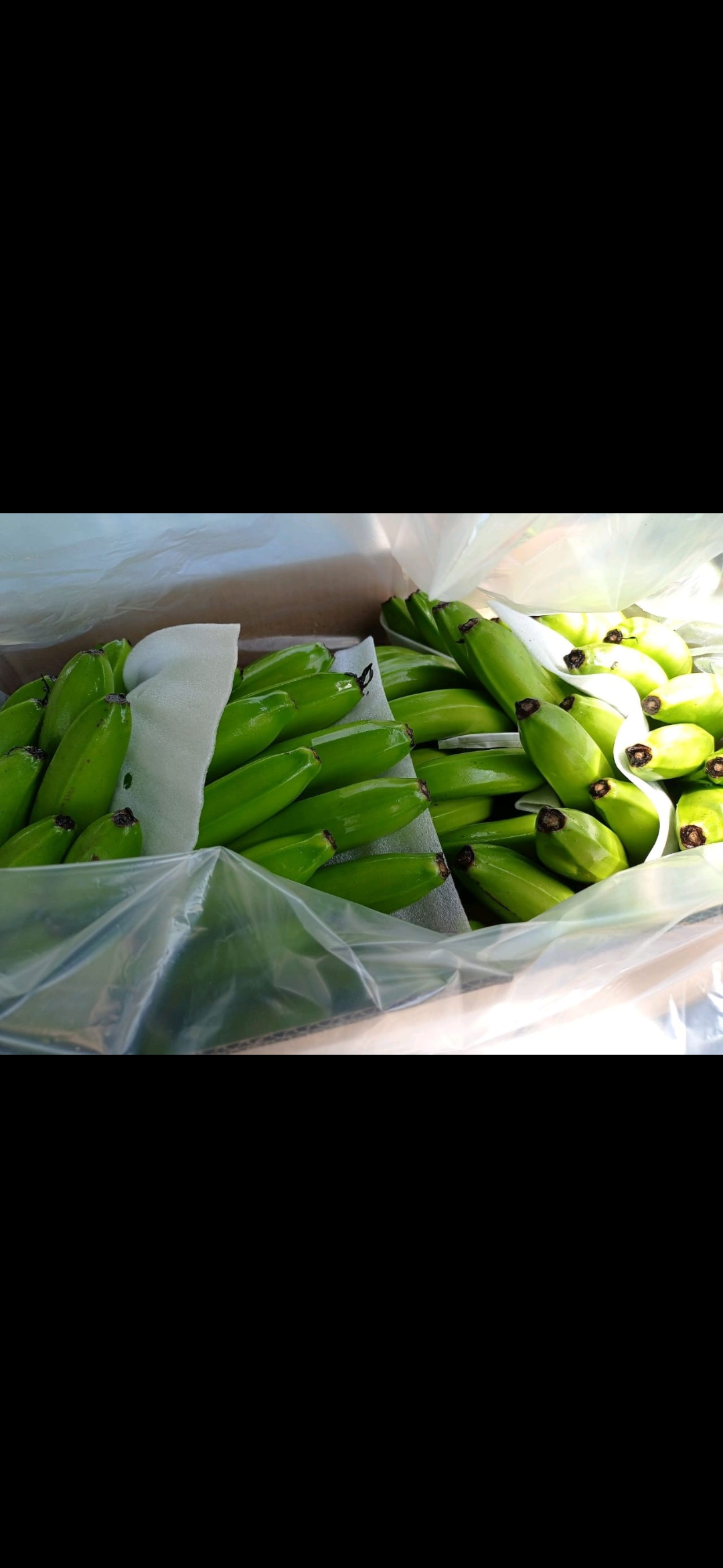 Fresh fruit banana