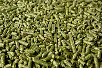 Alfalfa pellets