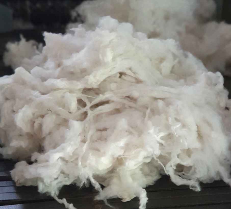 Scoured Merino Wool