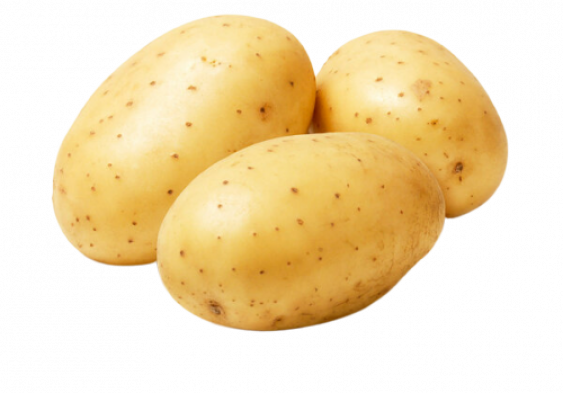 Potato