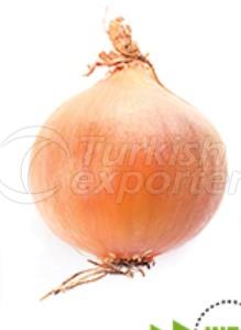 Onion
