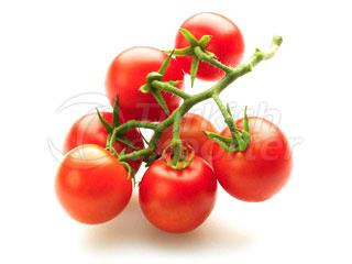 Truss tomatoes