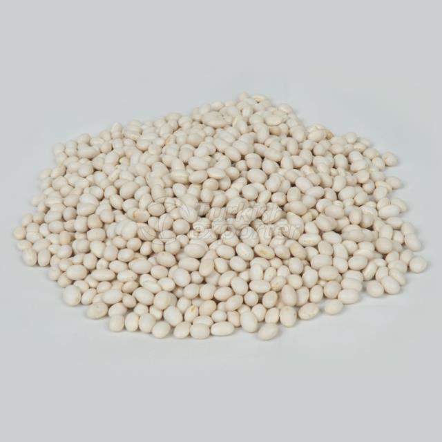 Ethiopian Origin White Pea Bean