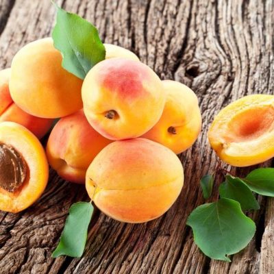 Apricot