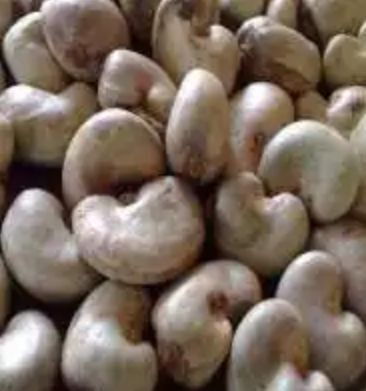 Raw Cashew