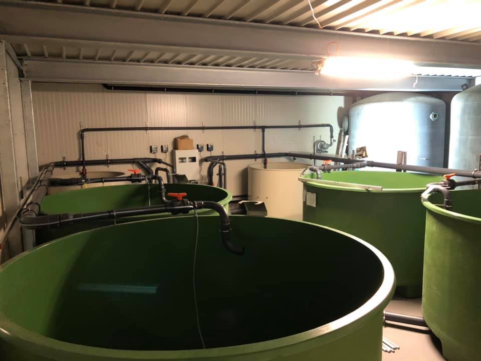 AQUACULTURE TANKS&PONDS