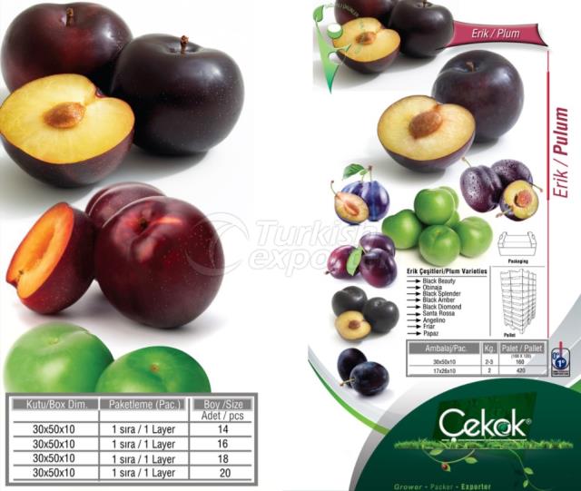 Plum