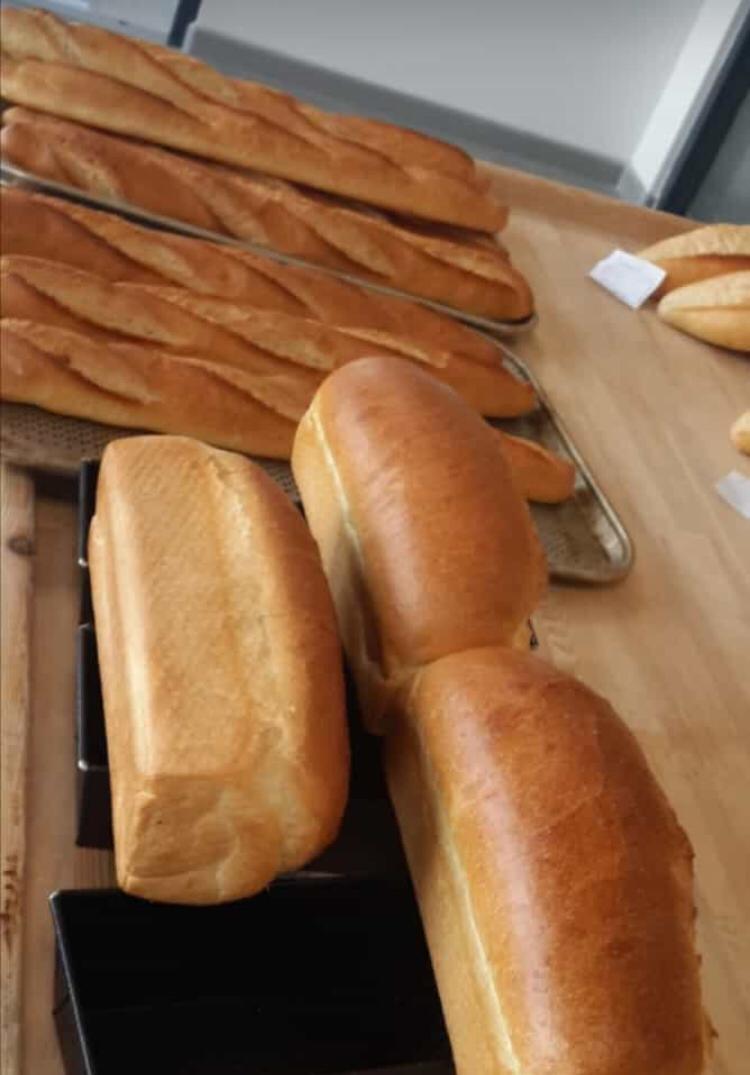 Bread