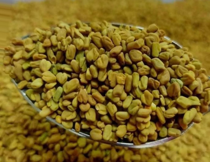 Fenugreek seeds