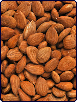 Bitter Apricot Kernels