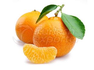 Dobeshi Beni Mandarin