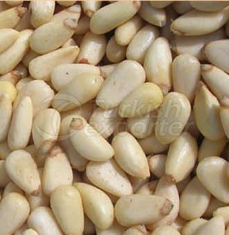 pine nut kernel