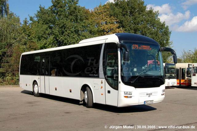 Coach Lion's Regio