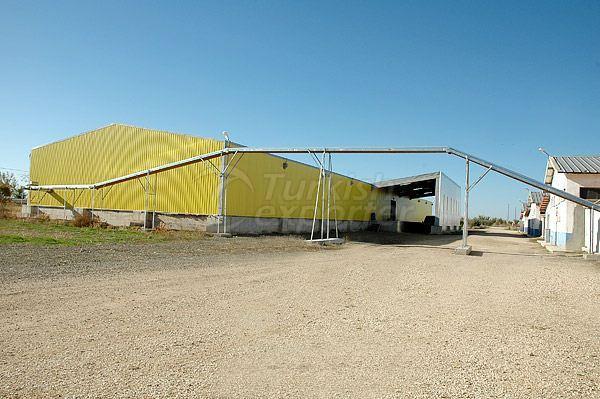 Feed and Egg Production Facilities