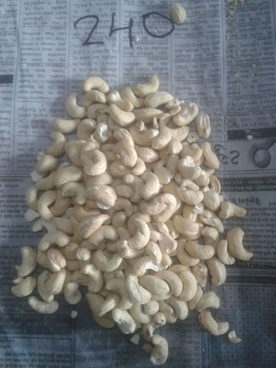 Cashew Nut