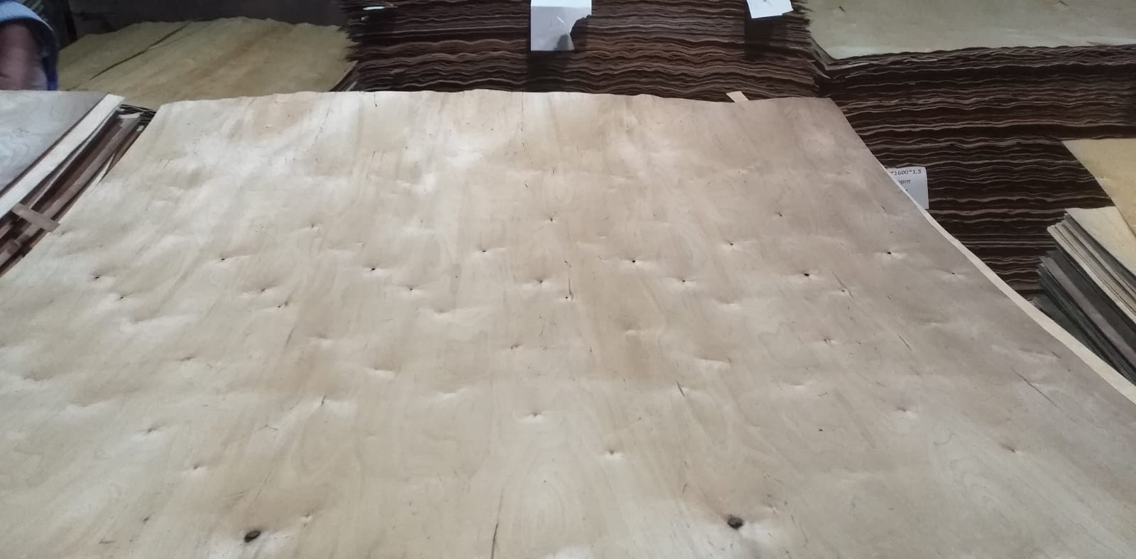 Veneer birch