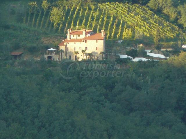 view from Poggio alla guardia