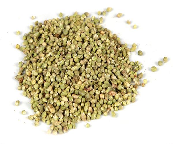 Oregano