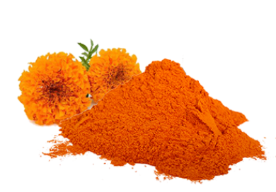 Marigold flower extract