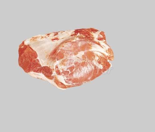 Rump