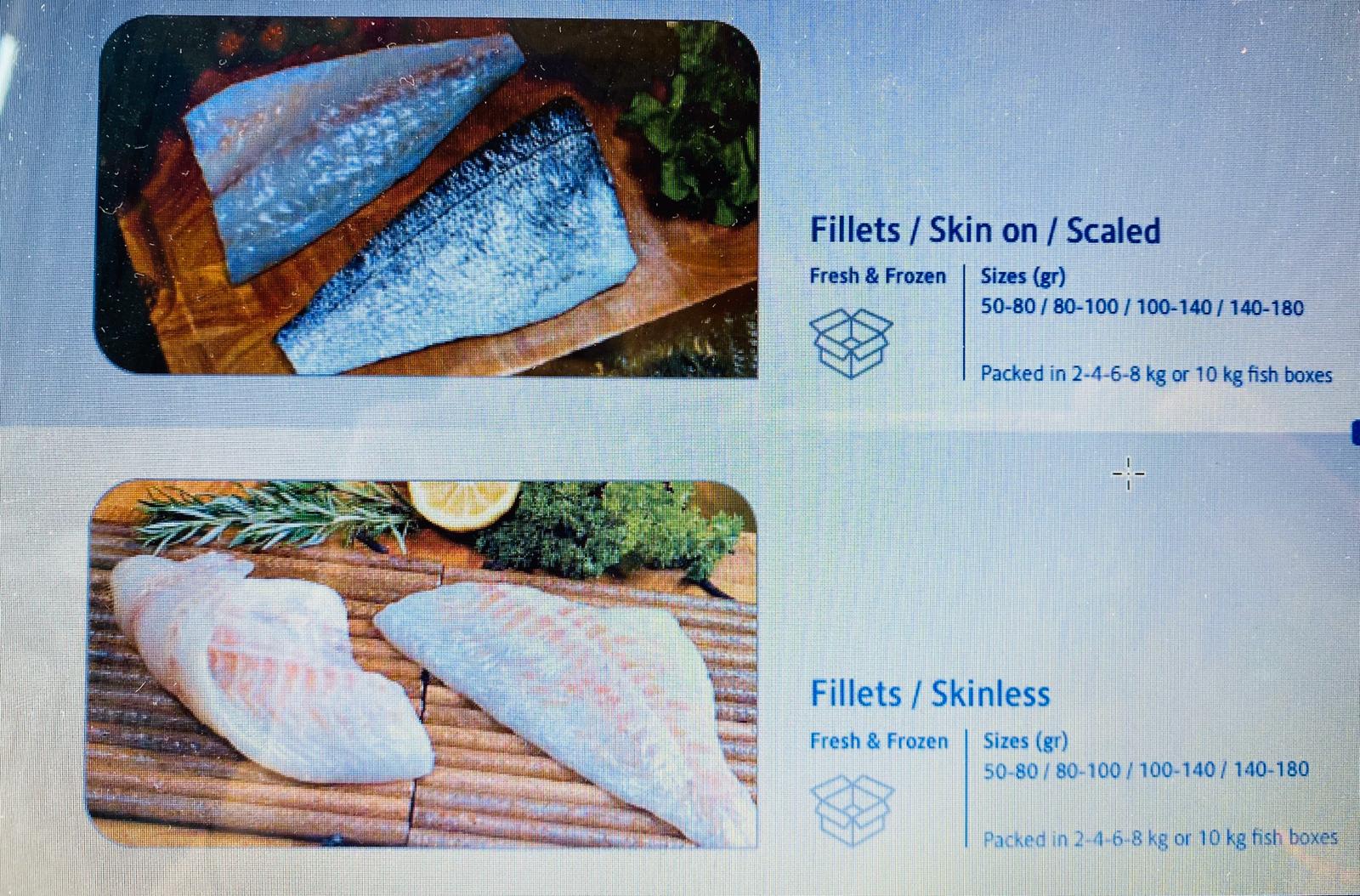 Freezed&Fresh Fish 